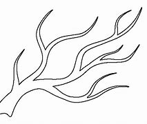 Image result for Coloring Page of Branch