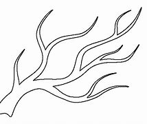 Image result for Coloring Page of Branch