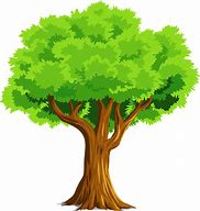 Image result for Maple Tree Copyright Free Image Vector