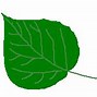 Image result for Aspen Leaf Clip Art