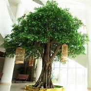 Image result for Best Faux Tree for Living Room