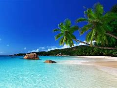 Image result for Tropical Island Wall Art