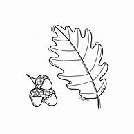 Image result for Plain Drawing of Oak Leaf and Acorn