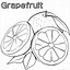 Image result for Grapefruit Coloring Page