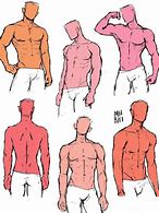 Image result for Anime Male Body Drawing