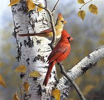 Image result for Paintings of Red Birds