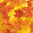 Image result for Fall Leaves Background