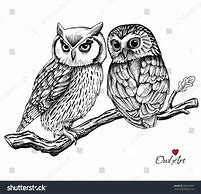 Image result for Owl On Branch Print Out