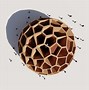 Image result for Voronoi Architecture