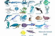 Image result for Ocean Animal Alphabet