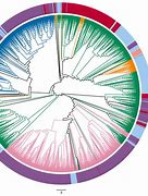 Image result for Vector Tree Branch Coloring