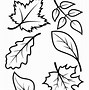 Image result for Fall Leaf Print