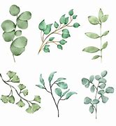 Image result for Desktop Backgrounds Watercolor Leaves