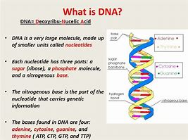 Image result for Hierarchy of Molecular Work