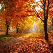 Image result for Leaves of Autumn