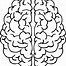 Image result for Empty Brain Diagram