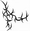 Image result for Thorns On Vines Drawing