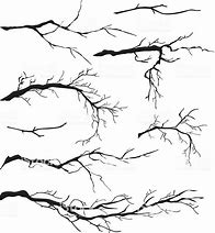 Image result for Tree Branch Pencil Drawing