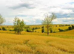 Image result for Fields of Philosophy