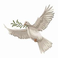 Image result for Dove Carrying Olive Branch