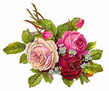 Image result for Free Clip Art Flowers Roses