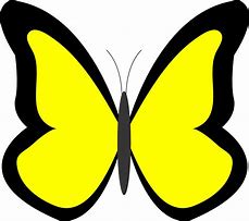 Image result for Butterfly Tree Logo