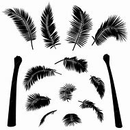 Image result for Palm Tree Trunk Vector