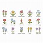 Image result for Flower Inflorescence Types