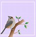 Image result for Red Bird and Tree Branch Illustration