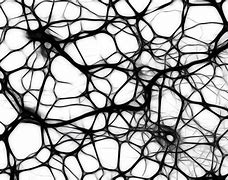 Image result for Real Life Application of Neural Network