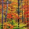 Image result for Fall Season for Desktop