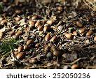 Image result for Leaf Pile Kids