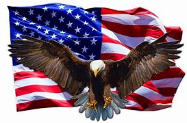 Image result for Patriotic Eagle Clip Art