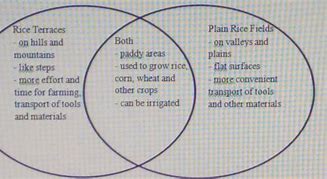 Image result for Compare and Contrast Venn Diagram Worksheet Third Grade