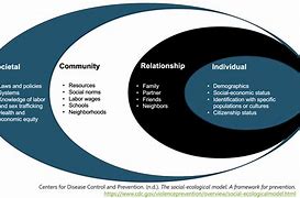 Image result for Social Determinants Model