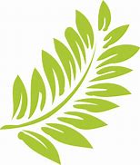 Image result for Free Abstract PNG Vector of Leaves