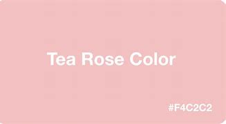 Image result for Tea Rose Color