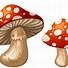 Image result for Tie Dye Mushroom Clip Art