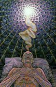 Image result for Great Art DMT