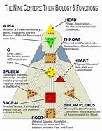 Image result for Human Design Chart Generator