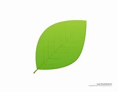 Image result for Family Tree Leaves Cut Out