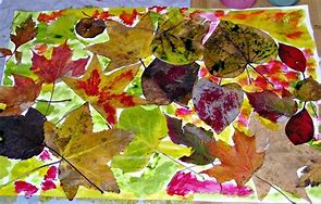 Image result for Amazing Leaf Art