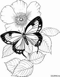 Image result for Flower Coloring Pages with Birds