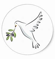 Image result for Dove Carrying Olive Branch