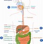 Image result for Two Glucose Molecules Joined Together Form