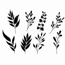 Image result for Leaves Silhouette Vector