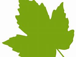 Image result for Grape Leaf Clip Art