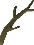 Image result for Vector Tree Branch Coloring