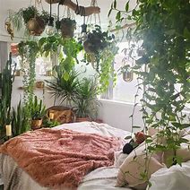 Image result for Urban Jungle Aesthetic