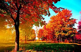 Image result for Fall Slide Background